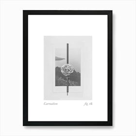 Carnation Botanical Collage 2 Art Print