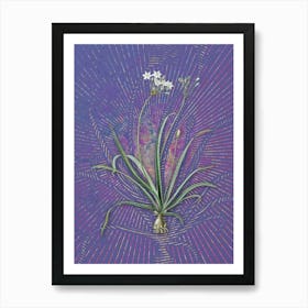 Vintage Allium Fragrans Botanical Illustration on Veri Peri n.0007 Art Print