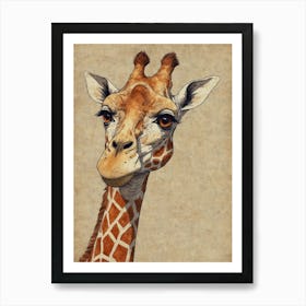 Giraffe 46 Art Print