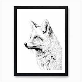 Fox Portrait Illustration 4 Art Print