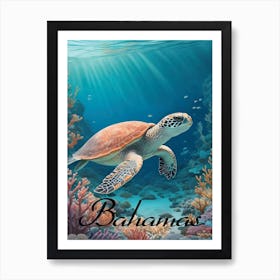 Bahamas Sea Turtle Art Print