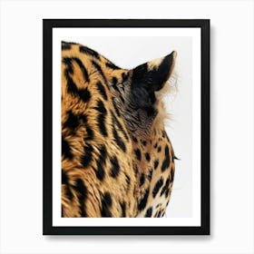 Jaguar 8 Art Print