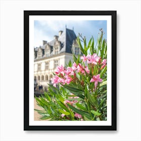 Pink oleander flowers at Chateaux de Villandry a castle in France - summer travel photography by Christa Stroo Photography Art Print