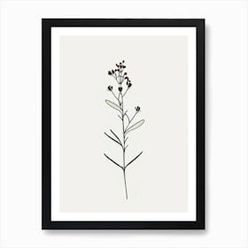 Xanthoceras Sorbifolium Floral Minimal Line Drawing 1 Flower Art Print