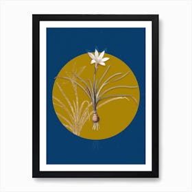 Vintage Botanical Rain Lily on Circle Yellow on Blue Art Print