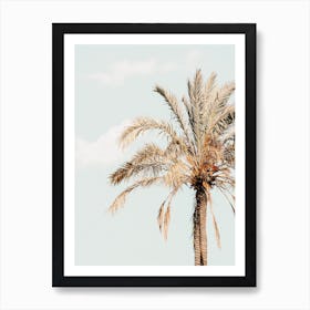 Sun Drenched Palm Tree Art Print