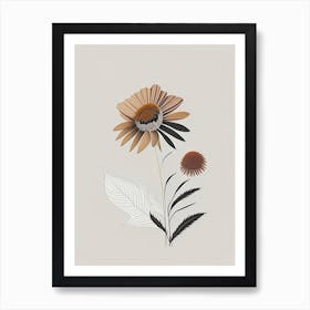 Echinacea Spices And Herbs Retro Minimal 3 Art Print