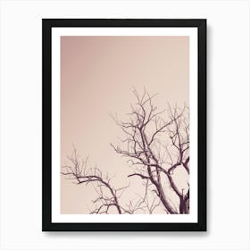 Pink Sky With A Tree Art Print