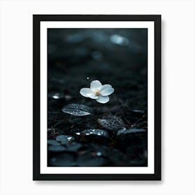 White Flower In The Dark 31 Art Print