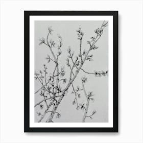 Spring is coming Art Print