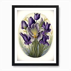 Crocus 3 Floral Botanical Vintage Poster Flower Art Print