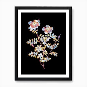 Stained Glass Variegated Burnet Rose Mosaic Botanical Illustration on Black n.0332 Art Print