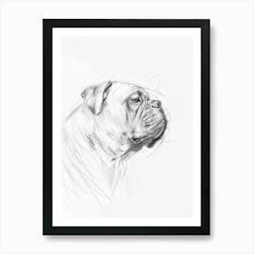 Bulldog Charcoal Line Sketch Art Print