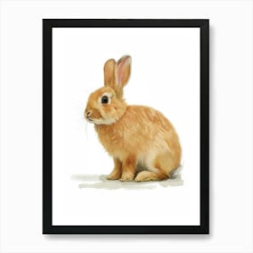 Netherland Dwarf Rabbit Nursery Illustration 1 Art Print