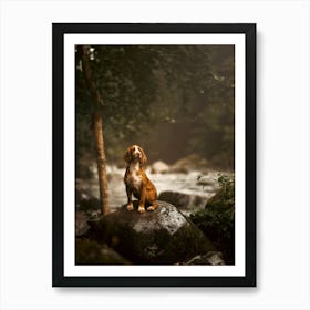 Cocker Spaniel By The River- Scotland Highland UK dog photo print - moody animal photography Art Print