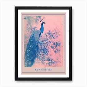 Pink & Blye Peacock In A Tree Cyanotype Inspired 1 Poster Art Print