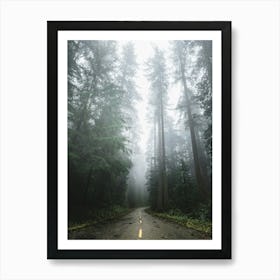 Forest Dreams- Redwood Park Road Art Print