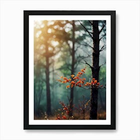 Autumn Trees In The Forest 1 Art Print