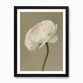 Floral Art 0007 Flower Single 0011 Fine Flowers 0006 Bp6586 An Art Print Of A Adorable Heavenly Beautiful Lovely F 2532e Art Print