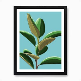 Rubber Plant Art Print