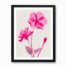 Hot Pink Impatiens 2 Art Print