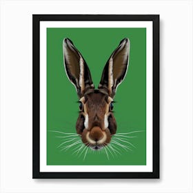 Hare Illustration 3 Art Print