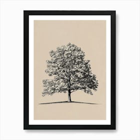 Oak Tree Minimalistic Drawing 1 Art Print