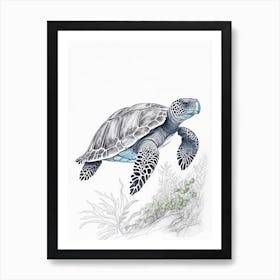 Leatherback Sea Turtle (Dermochelys Coriacea), Sea Turtle Quentin Blake Illustration 1 Art Print