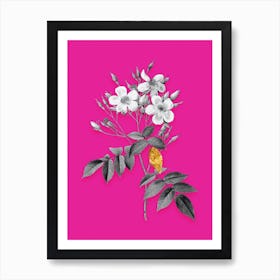 Vintage Musk Rose Black and White Gold Leaf Floral Art on Hot Pink n.0109 Art Print