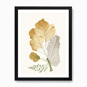 Ginkgo Spices And Herbs Pencil Illustration 1 Art Print
