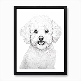 Bichon Frise Dog, Line Drawing 4 Art Print