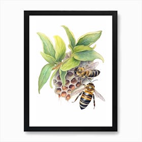 Masked Hunter Bee Beehive Watercolour Illustration 7 Art Print