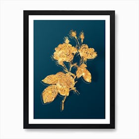Vintage Anemone Centuries Rose Botanical in Gold on Teal Blue n.0334 Art Print