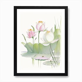 Lotus Flowers In Park Pencil Illustration 10 Poster