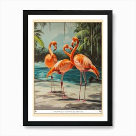 Greater Flamingo Galapagos Islands Ecuador Tropical Illustration 1 Poster Art Print