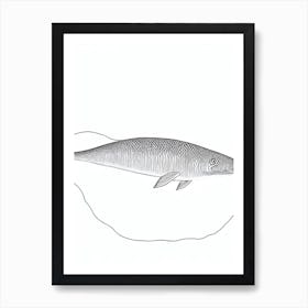 Basilosaurus Black & White Drawing Art Print