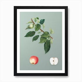Vintage Apple Botanical Art on Mint Green n.0588 Art Print