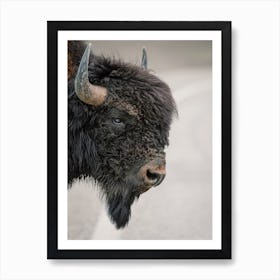 Bison Profile Art Print