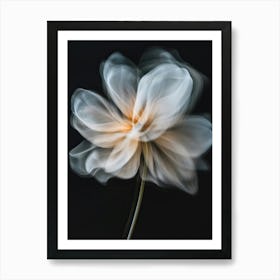 Flower In Motion 2 Art Print