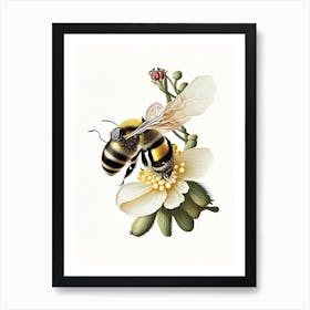 Pollinator Bee 7 Vintage Art Print