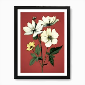 Anemones 7 Art Print