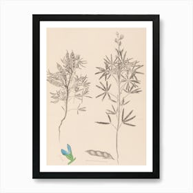 Flora Of Scotland Art Print