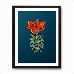 Vintage Blood Red Lily Flower Botanical Art on Teal Blue n.0442 Art Print