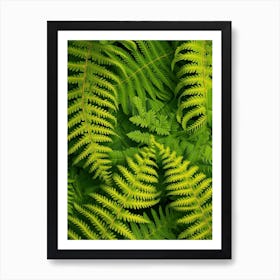 Pattern Poster Leatherleaf Fern 4 Art Print