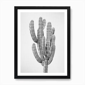 Cactus 3 - Black & White Art Print