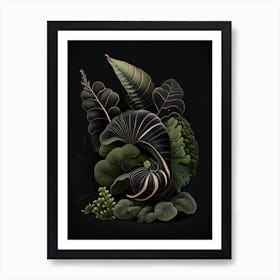 Snail With Black Background Botanical Art Print