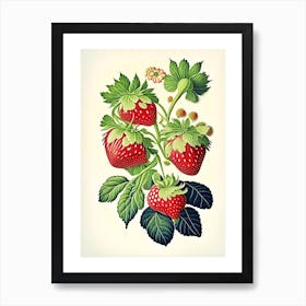 Alpine Strawberries, Plant, Vintage Botanical Art Print