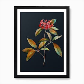 Vintage Mountain Laurel Branch Botanical Watercolor Illustration on Dark Teal Blue n.0373 Art Print