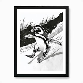 African Penguin Sliding On Ice 3 Art Print