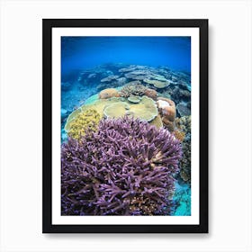 Life Under the Sea Art Print